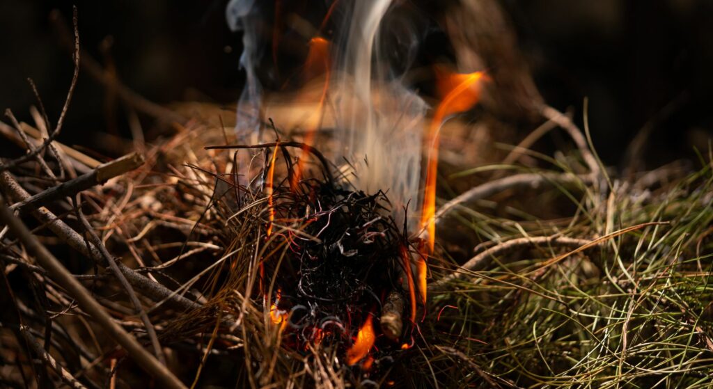 Bushcraft Fire Starting Methods Every Overlander Should Know