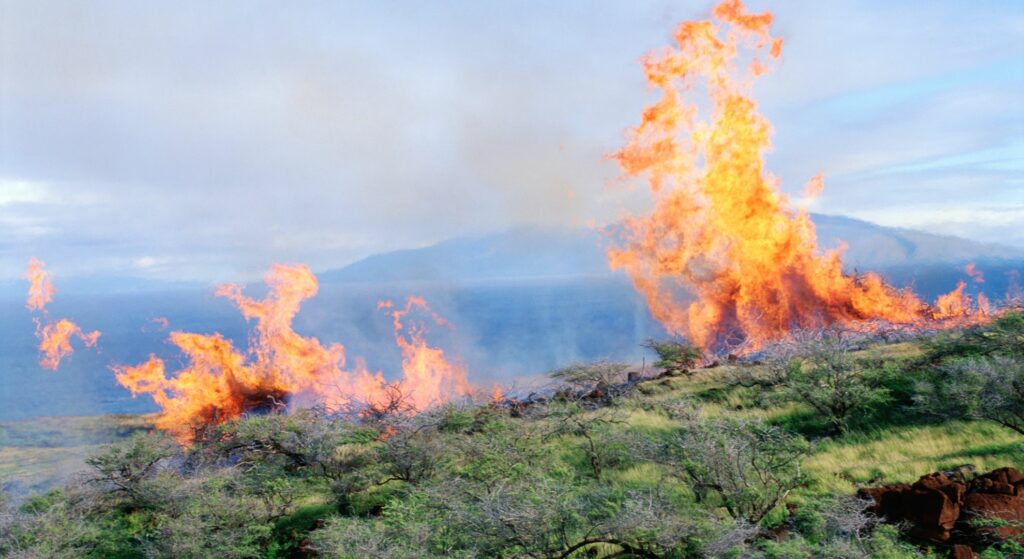 Overlanding in Fire-Prone Regions Safety and Preparedness