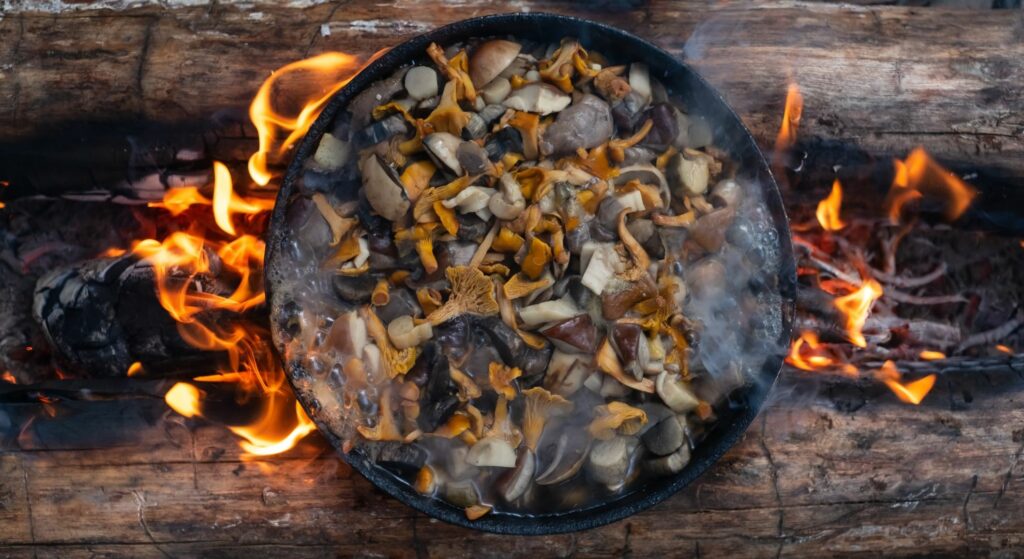 Simplifying Camp Cooking with the Right Cookware